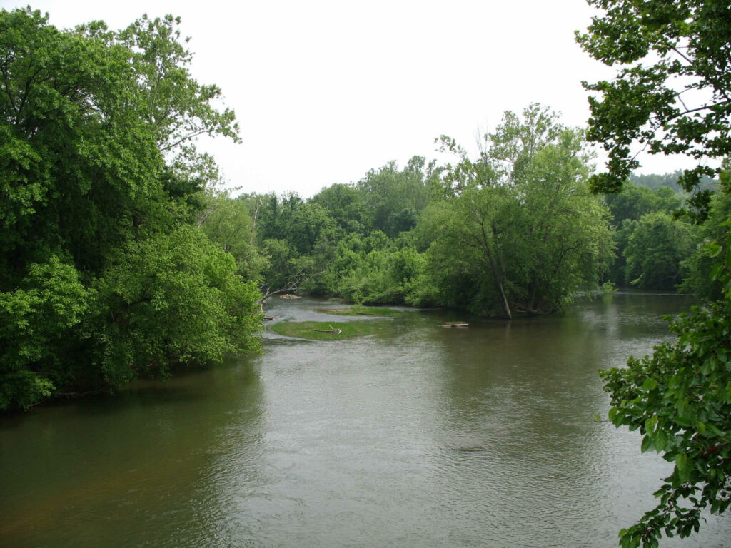 Rebuilding Eden- Image of a forested river