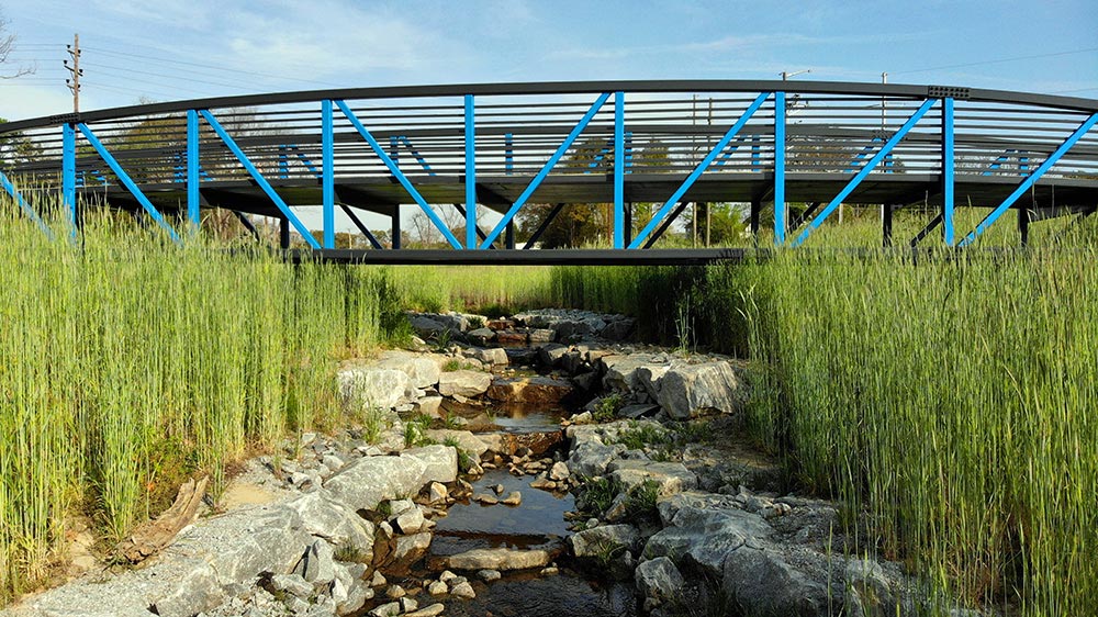 Blue Bridge at Butterfly Branch