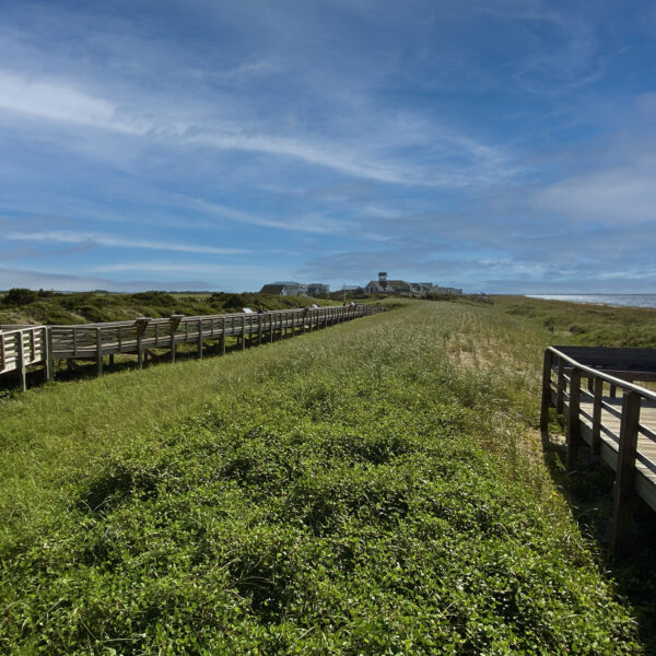 Caswell Beach Dune Infiltration System